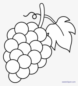 Grape Clipart Black And White - Grapes Clipart, HD Png Download, Transparent PNG