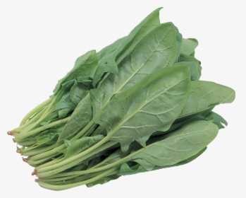 Salad Png Image - Green Leafy Vegetables Png, Transparent Png, Transparent PNG
