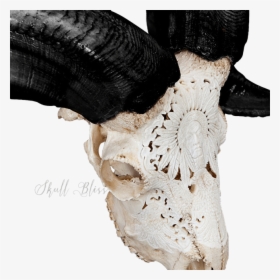 Carved Ram Skull - Sculpture, HD Png Download, Transparent PNG