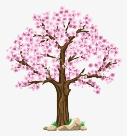 Transparent Pink Png Picture - Cherry Blossom Tree Clipart, Png Download, Transparent PNG