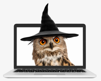 Owl Wearing A Wizard Hat - Netbook, HD Png Download, Transparent PNG