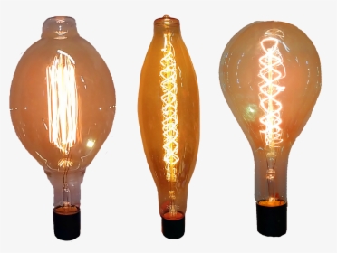 Bulbs Png, Transparent Png, Transparent PNG