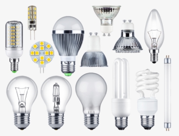 All Types Of Light Bulbs, Including, Incandescent, - Electric Led Light, HD Png Download, Transparent PNG