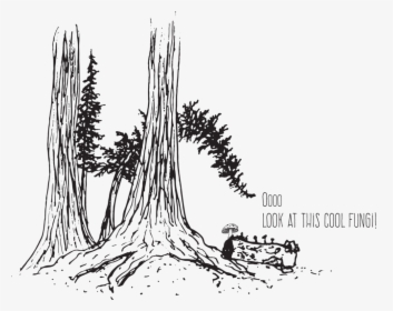 Tree Looking At Fungi - Drawn Tree Root, HD Png Download, Transparent PNG