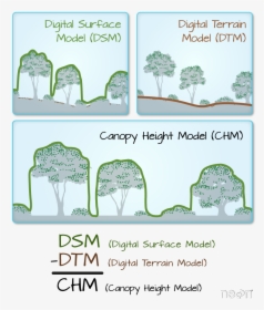 Lidar Derived Dsm, Dtm And Chm - Canopy Height Model Chm, HD Png Download, Transparent PNG