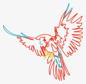 Parrot - Illustration, HD Png Download, Transparent PNG