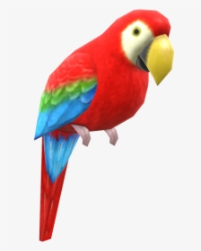 Download Zip Archive - Macaw, HD Png Download, Transparent PNG