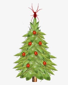Christmas Tree Closeup - Xmas Tree, HD Png Download, Transparent PNG