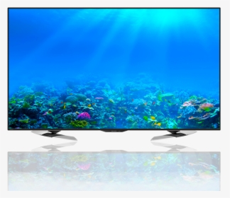 Sharp Led Tv - Ocean With Coral Reef, HD Png Download, Transparent PNG