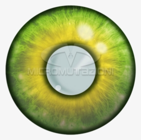Contact Lenses For Fairytale, HD Png Download, Transparent PNG