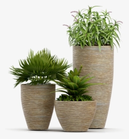 Services Plant - Plant Psd, HD Png Download, Transparent PNG