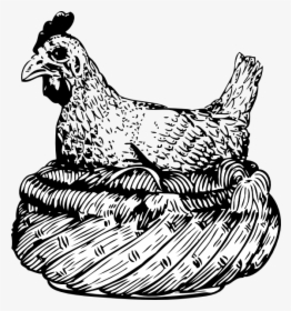 Old Hen In A Basket Svg Clip Arts - Hen On A Rock Clipart Black And White, HD Png Download, Transparent PNG