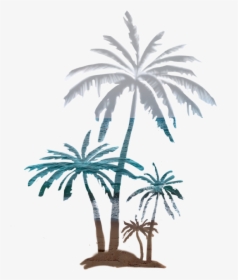 #palmtree #beach #beautiful #panorama #coconut #palm - Attalea Speciosa, HD Png Download, Transparent PNG