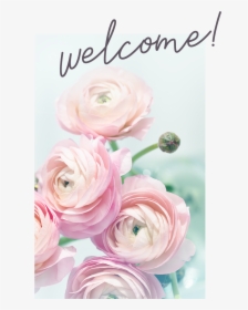About Holistica Welcome - Garden Roses, HD Png Download, Transparent PNG