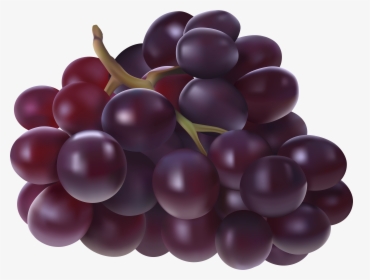 Juice Grape Fruit Clip Art - Grapes Fruit Clip Arts, HD Png Download, Transparent PNG
