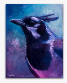 Magpie-jay, HD Png Download, Transparent PNG