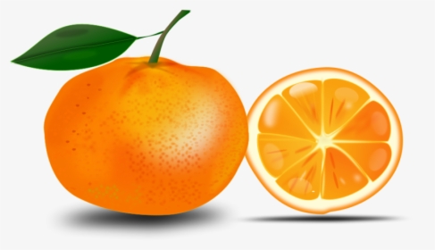 Orange Clipart - Orange Clipart Free, HD Png Download, Transparent PNG