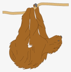 Sloth Clipart - Png Animal Fur Hanging, Transparent Png, Transparent PNG