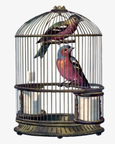 Encantarte Imagens Vintage - Bird In A Cage Png, Transparent Png, Transparent PNG