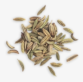 Fennel Seed - Whole Grain, HD Png Download, Transparent PNG
