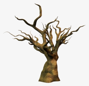 Thumb Image - Clipart Oak Tree Trunk, HD Png Download, Transparent PNG