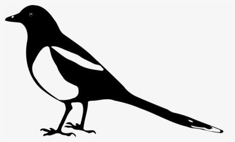 Line Photography - Magpie Silhouette, HD Png Download, Transparent PNG