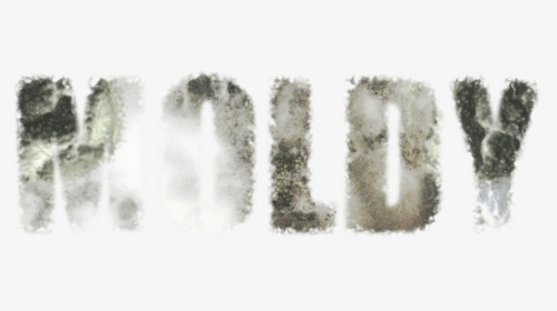 The Health Hazards Of Toxic Mold - Word Moldy, HD Png Download, Transparent PNG