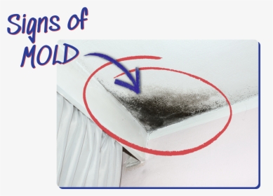 Signs Of Mold Example - Sketch, HD Png Download, Transparent PNG