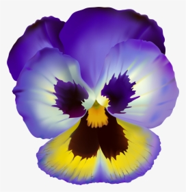 Pansy Drawing Viola Flower - Violet Flower Clip Art, HD Png Download, Transparent PNG