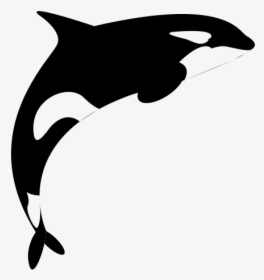 Class Lazyload Lazyload Mirage Cloudzoom Featured Image - Killer Whale Logo Transparent, HD Png Download, Transparent PNG