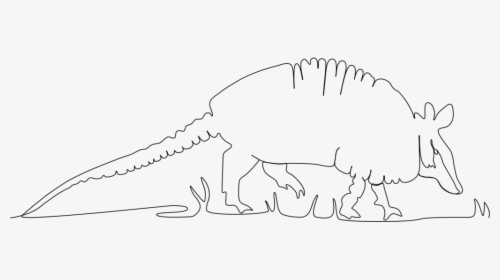 Armadillo In Continuous Line - Line Art, HD Png Download, Transparent PNG