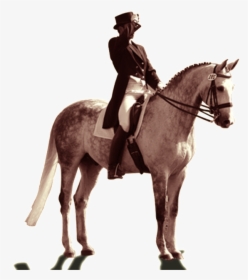 Pintado Caballo Png - Knight On A Horse Png, Transparent Png, Transparent PNG