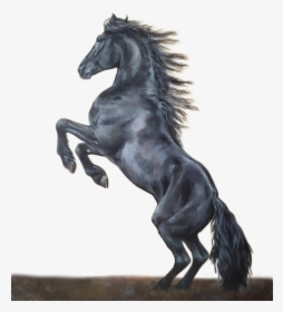 #caballo #negro - Stallion, HD Png Download, Transparent PNG