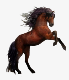 #caballo #marron - Two Horses, HD Png Download, Transparent PNG