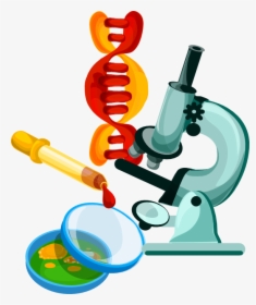 Chemistry Or Physics And Biology Science, HD Png Download, Transparent PNG
