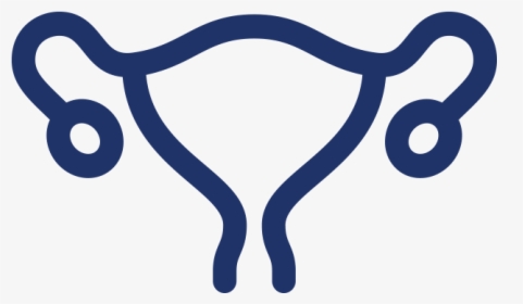 Gynaecology, HD Png Download, Transparent PNG