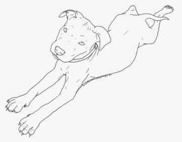 Drawn Pit Bull Red Nose - Puppy Pitbull Drawing, HD Png Download, Transparent PNG
