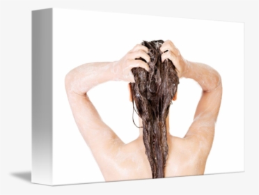 Young Fit Woman In Shower Washing Her Body By B D S - Woman Shower Png, Transparent Png, Transparent PNG