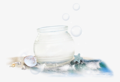 Crystal Pot With Sea Shells Png Image - Still Life Photography, Transparent Png, Transparent PNG