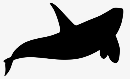 Whales, HD Png Download, Transparent PNG