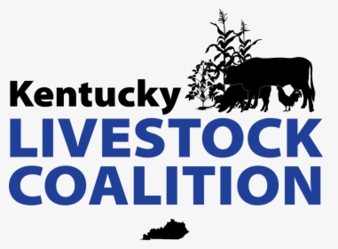 Cows Png, Transparent Png, Transparent PNG