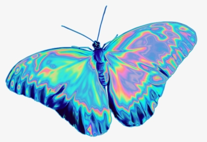 These Stickers And So Much More On Sale - Holographic Butterfly Png, Transparent Png, Transparent PNG