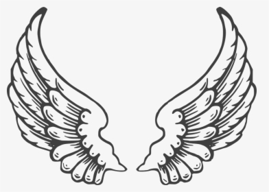 Wing Clipart Black And White, HD Png Download, Transparent PNG