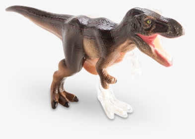 4d Vision T-rex Anatomy Model - Velociraptor, HD Png Download, Transparent PNG