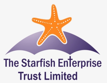 Starfish Basingstoke - Starfish, HD Png Download, Transparent PNG