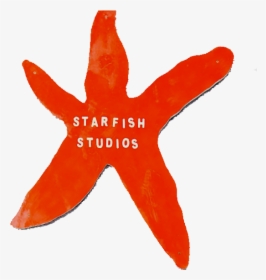 Starfish Youth Music - Starfish, HD Png Download, Transparent PNG