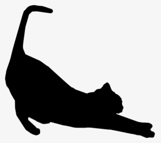 Black Cat Icon - Cat Silhouette Clipart, HD Png Download, Transparent PNG