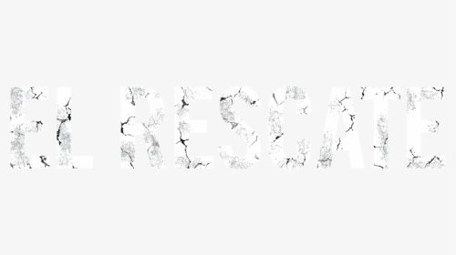 Critical Software, HD Png Download, Transparent PNG