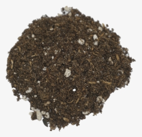 Seedling Soil   Class Lazyload Lazyload Fade In Cloudzoom - Soil, HD Png Download, Transparent PNG