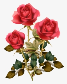 Фотки Red Rose Png, Red Roses, Rose Clipart, Vintage - Red Roses Png, Transparent Png, Transparent PNG